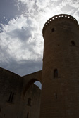 IMG_8362.jpg