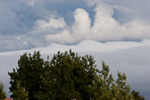 IMG_0559.jpg