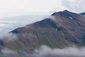IMG_0565.jpg
