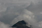 IMG_0600.jpg