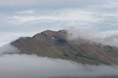 IMG_0602.jpg