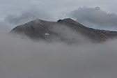 IMG_0603.jpg