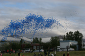 IMG_0594.jpg