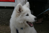 IMG_0811.jpg