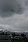 IMG_2801.jpg