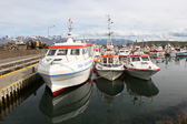 IMG_2933.jpg
