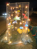 IMG_4964.jpg
