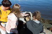 IMG_9385.jpg