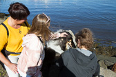 IMG_9386.jpg