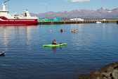 IMG_9392.jpg