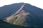 IMG_9486.jpg