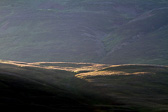 IMG_9487.jpg