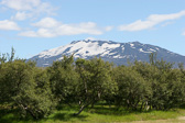 IMG_9116.jpg