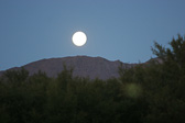 IMG_9332.jpg