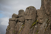 IMG_0328.jpg