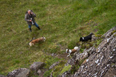 IMG_0379.jpg