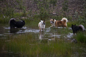 IMG_0383.jpg