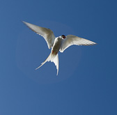 IMG_8437.jpg