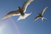 IMG_8443.jpg