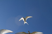 IMG_8450.jpg