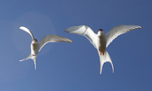 IMG_8451.jpg