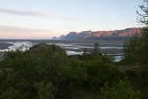 IMG_8651.jpg