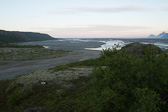 IMG_8653.jpg