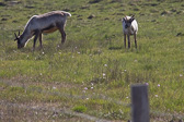 IMG_8789.jpg