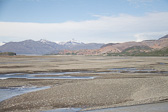 IMG_8868.jpg