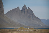IMG_8884.jpg