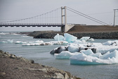 IMG_8897.jpg