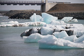 IMG_8901.jpg