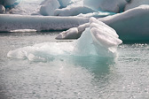IMG_8908.jpg