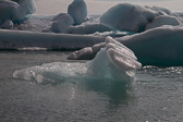 IMG_8914.jpg