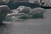 IMG_8915.jpg