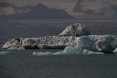 IMG_8931.jpg