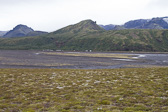 IMG_0927.jpg