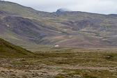 IMG_0950.jpg