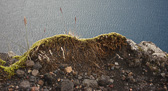 DSC05085.jpg
