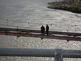 DSC05096.jpg