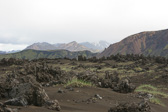IMG_0195.jpg