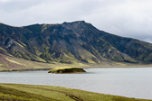 IMG_0231.jpg
