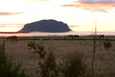 IMG_0401.jpg