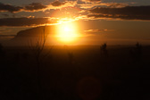 IMG_0440.jpg