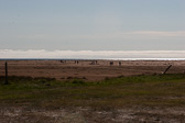 IMG_0314.jpg