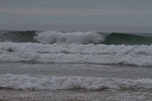 IMG_8567.jpg