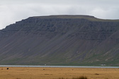 IMG_8597.jpg