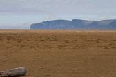 IMG_8600.jpg