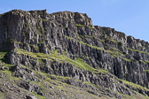 IMG_8636.jpg