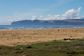 IMG_8660.jpg